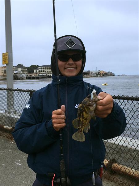 Caught off the Jetty!