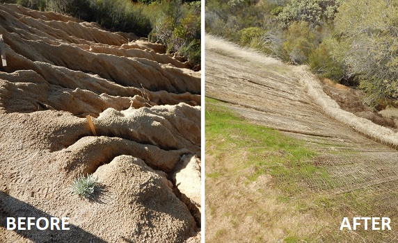 erosion before and after restoration