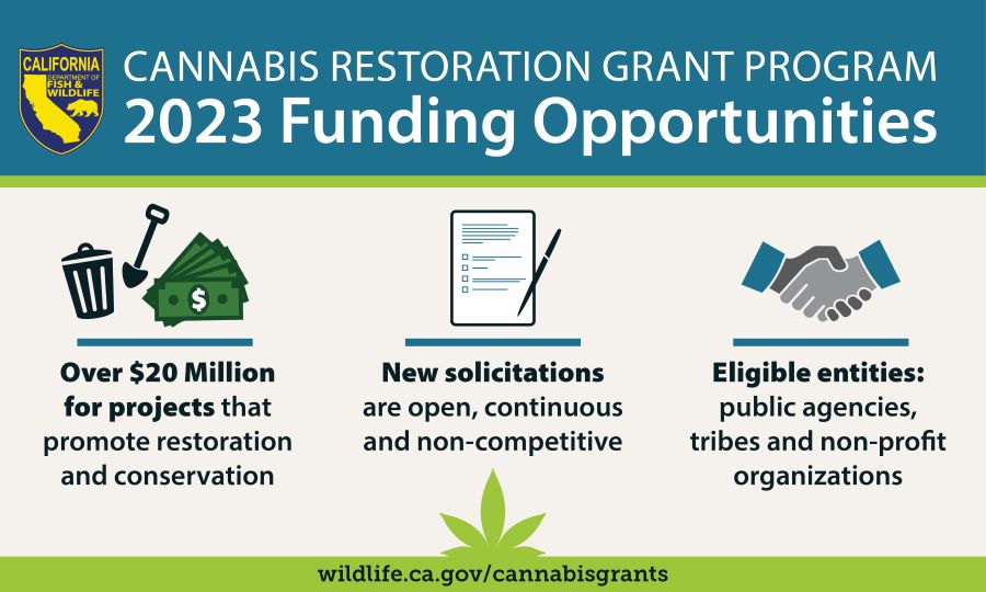 Graphic of cannabis grant funding opportunity