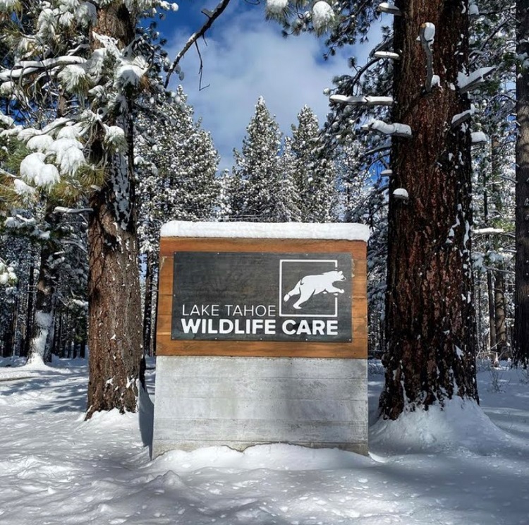 Lake Tahoe Wildlife Care sign in snowy landscape