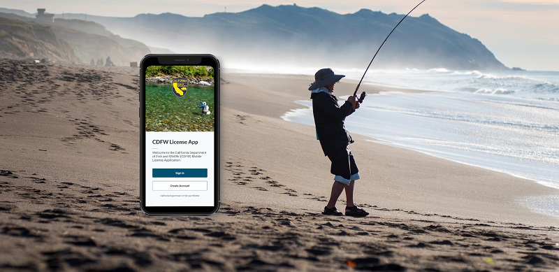 An angler fishes from a California beach.  Accompanying image of a mobile phone displaying CDFW's License App for mobile devices.