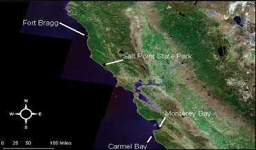Sampling locations where kelp greenling were collected from December 2007 to February 2009
