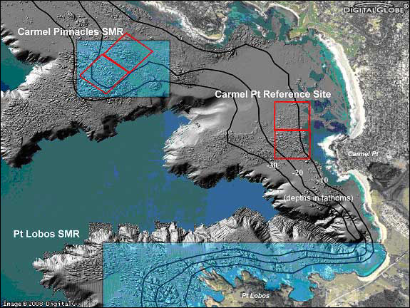 Sampling areas (red boxes) and bottom topography at Carmel Pinnacles State Marine Reserve and Carmel Point. Rough areas represent higher relief and rocky habitat.