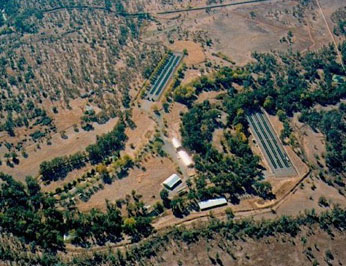aerial view of buildings and raceways among sparce trees