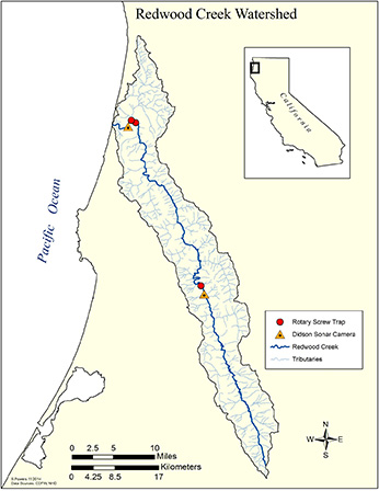 Figure 2. Map of Redwood Creek Watershed with symbols representing smolt traps and sonar stations. Click to enlarge in new window.