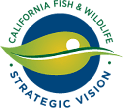 Fish and Wildlife Strategic Vision logo - text in a circle around green leaf