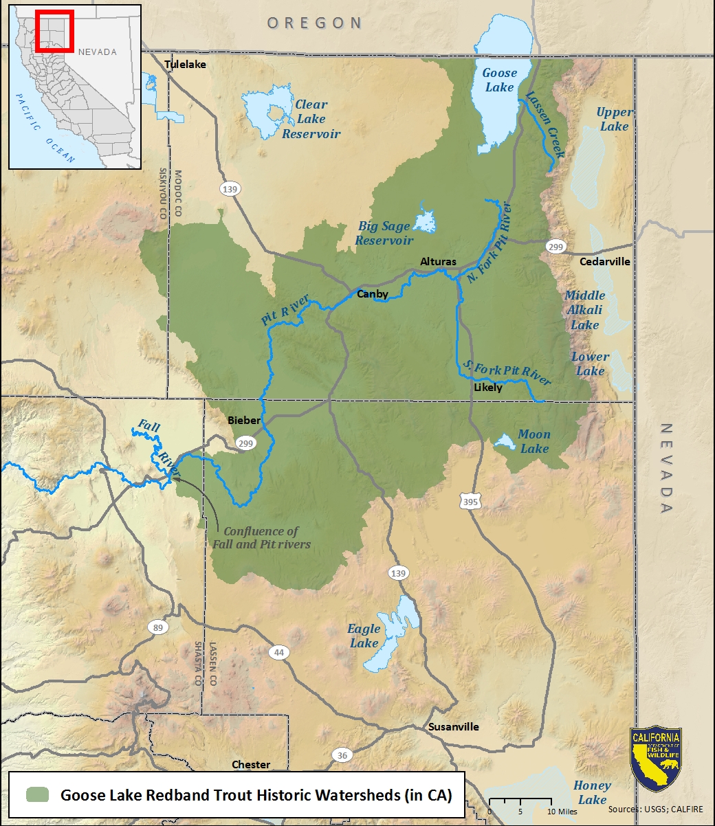 Map of Goose Lake redband trout historic watersheds - click to enlarge in new window