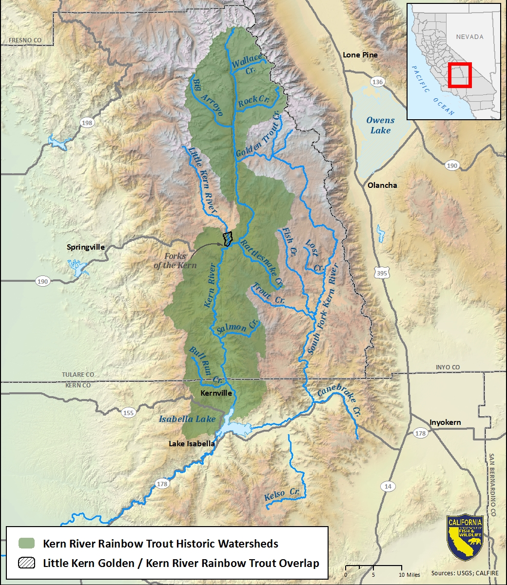 Map of Kern River rainbow trout historic watersheds - click to enlarge in new window
