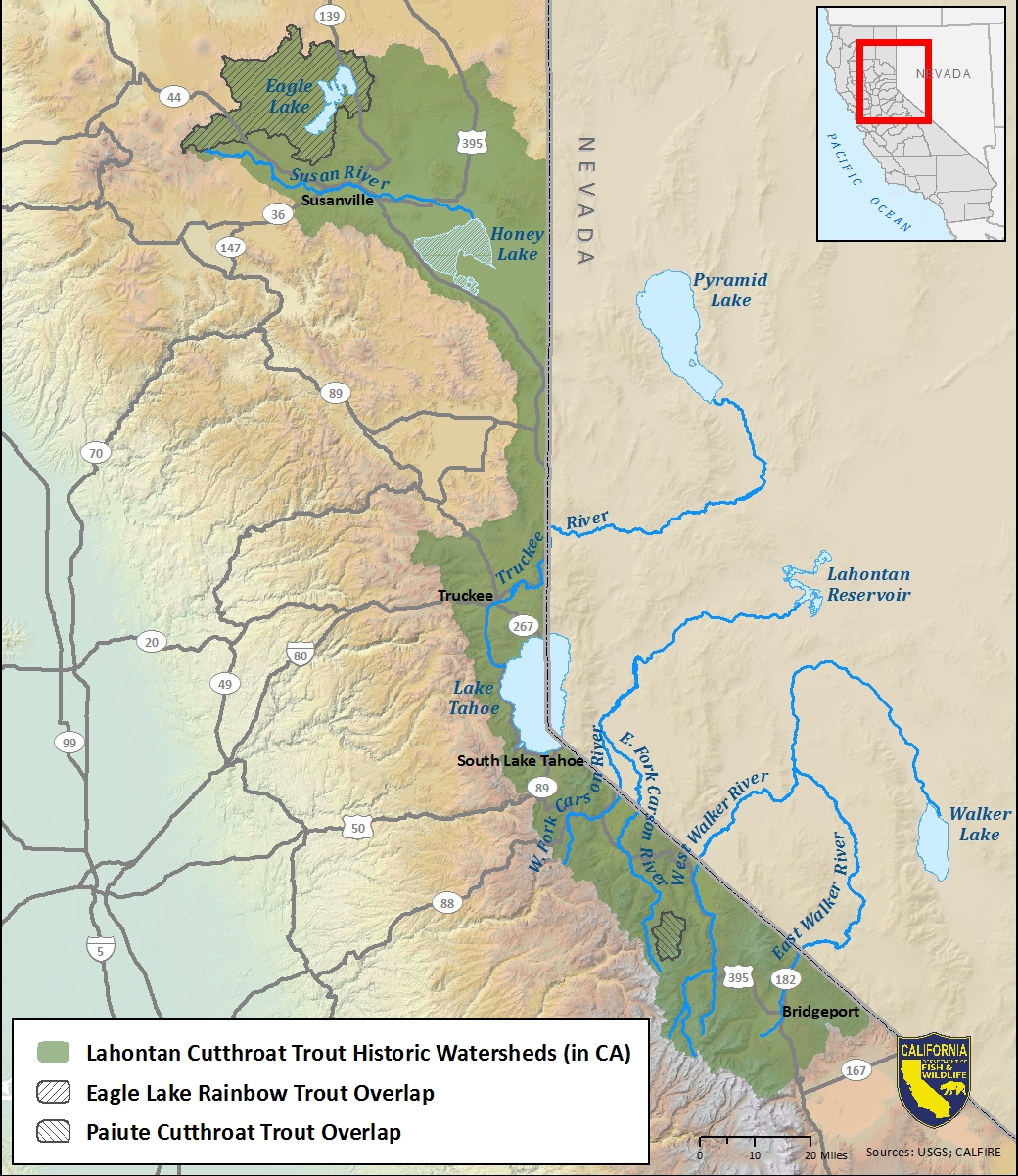 Map of Lahontan cutthroat trout historic watersheds