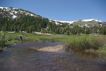 person fishing in shallow stream flowing through meadow with snow capped mountains in the background