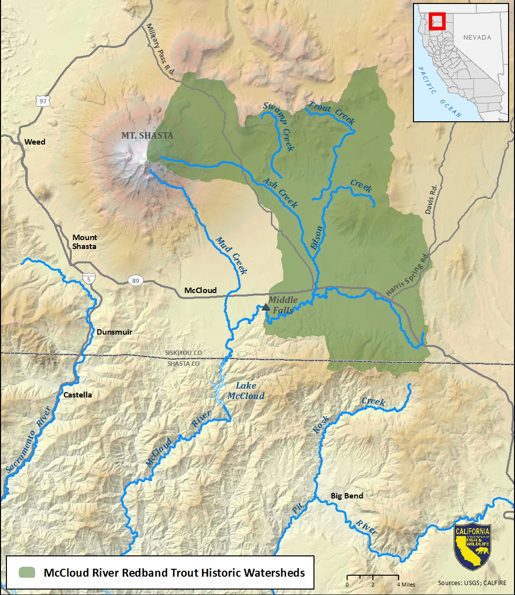 Map of McCloud River redband trout historic watersheds
