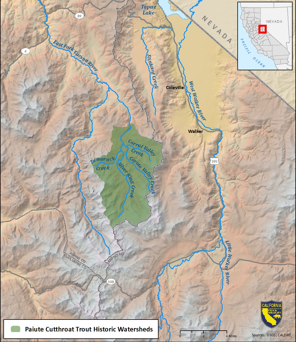 Map of Paiute cutthroat trout historic watershed - click to open in new window