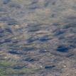 California killifish in the Famosa Slough SMCA (No-Take)