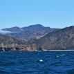 Coastline at Gull Island SMR