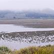 View of Morro Bay SMR from Bush Lupine Point