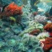 Anemones and various algae at Point Cabrillo SMR