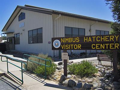 Nimbus Hatchery Visitor Center