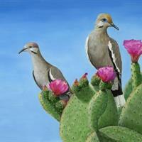 White Winged Doves by Kathy Holeman
