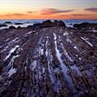 The rocky intertidal zone within Crystal Cove SMCA