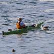 Kayaker meets Laysan albatross, Saunders Reef SMCA