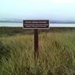 Hunter access corridor in South Humboldt Bay SMRMA