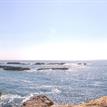 Sea Lion Cove