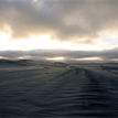 View of the sandy beach near Skunk Point SMR