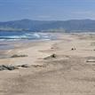 Sandy beach in Ten Mile Beach SMCA