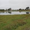 Looking northwest from Highway 1 at Moro Cojo Slough SMR