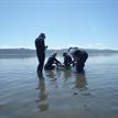 Sampling in South Humboldt Bay SMRMA