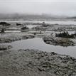 Mudflats at Morro Bay SMR