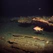 Canary rockfish near a rocky reef, Piedras Blancas SMCA