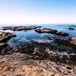 Tidepools at Laguna Point, MacKerricher SMCA