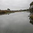 Looking south from Moss Landing Road near Moro Cojo Slough SMR