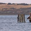 Waterfowl hunter and decoys, Morro Bay SMRMA