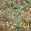 Fish eggs in Salt Point SMCA