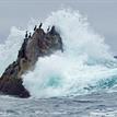 Wave crashes against Begg Rock at Begg Rock SMR