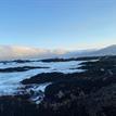 View of South Cape Mendocino SMR