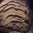 Rocky geologic formation on the seafloor, Piedras Blancas SMCA