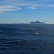 Dolphins and Anacapa Island