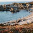 Seal Cove, Lovers Point-Julia Platt SMR