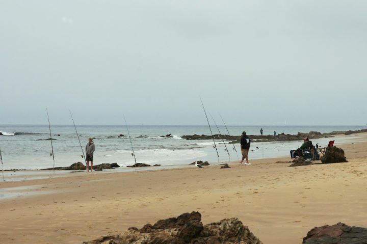 recreational anglers hook and line fish from shore