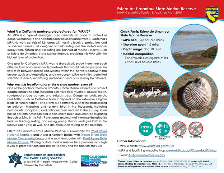 MPA fact sheet - click to enlarge in new tab