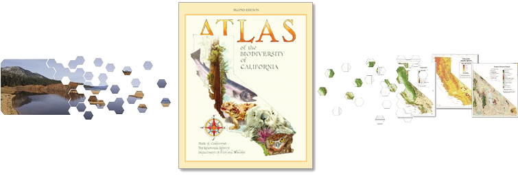 Images of a landscape and pages of maps scattering into hexagons towards the cover of the Atlas of the Biodiversity of California