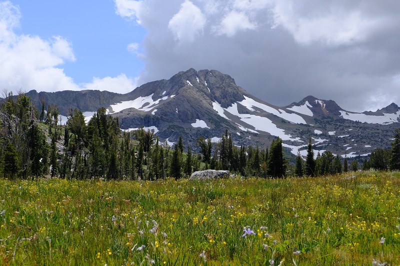 View of snowy mountain and alpine meadow near Carson Pass, California