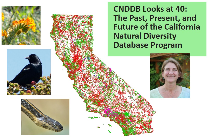 CNDDB Looks at 40: The Past, Present, and Future of the California Natural Diversity Database; Collage of plants, animals, a map of CNDDB data, and Misty Nelson