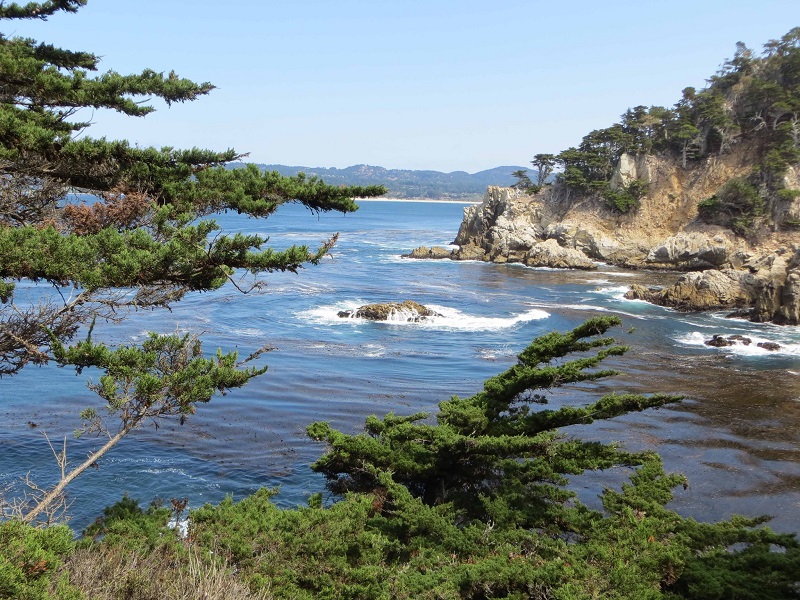 California coast with rock cliffs and trees