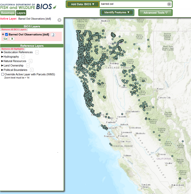 Screenshot of the Barred Owl Observations layer in BIOS