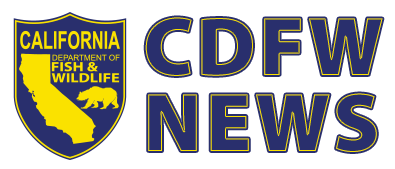 CDFW News - link to CDFW News page
