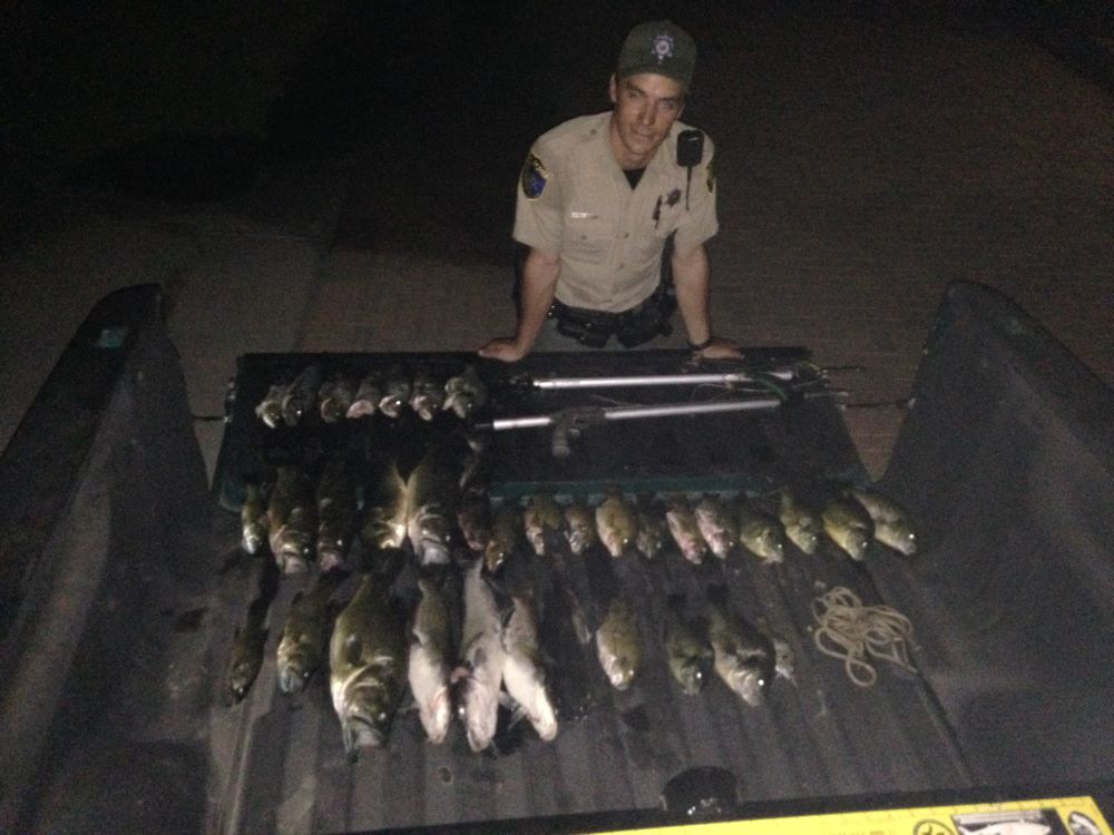 wildlife officer standing at back of truck with illegally caught fish